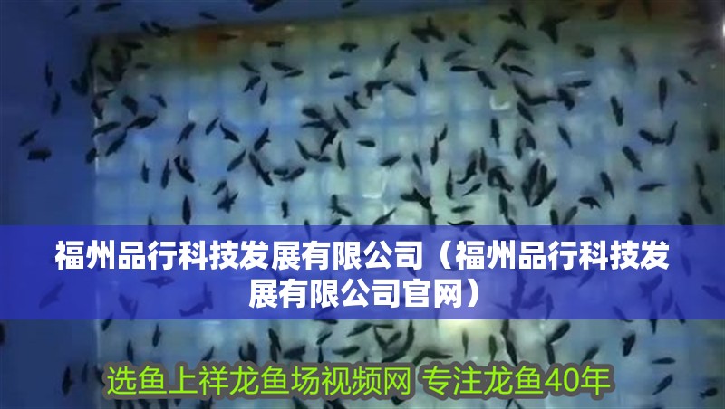 福州品行科技發展有限公司（福州品行科技發展有限公司官網）