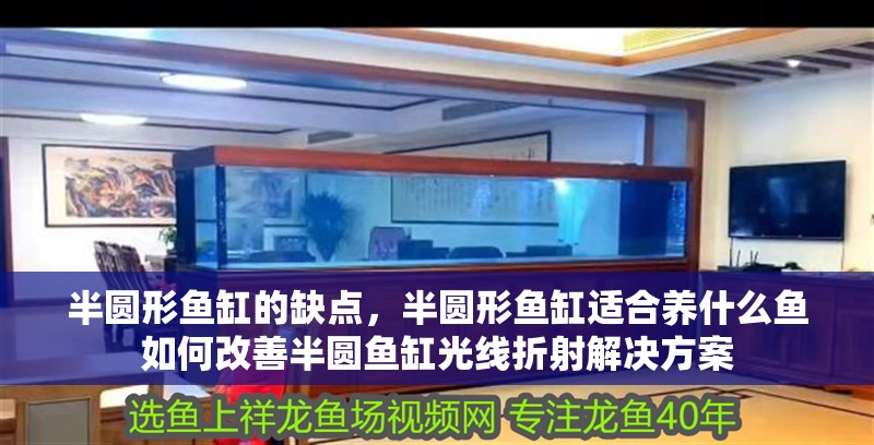半圓形魚缸的缺點，半圓形魚缸適合養什么魚如何改善半圓魚缸光線折射解決方案