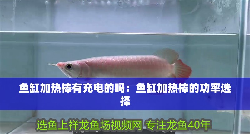 魚缸加熱棒有充電的嗎：魚缸加熱棒的功率選擇