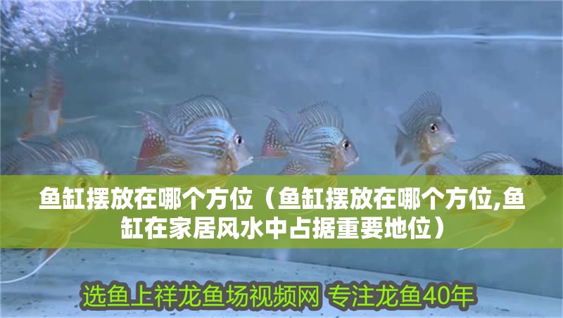 魚缸擺放在哪個方位（魚缸擺放在哪個方位,魚缸在家居風(fēng)水中占據(jù)重要地位）
