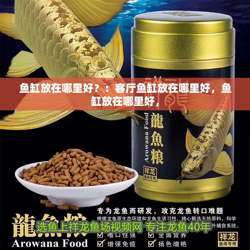 魚缸放在哪里好？：客廳魚缸放在哪里好，魚缸放在哪里好，