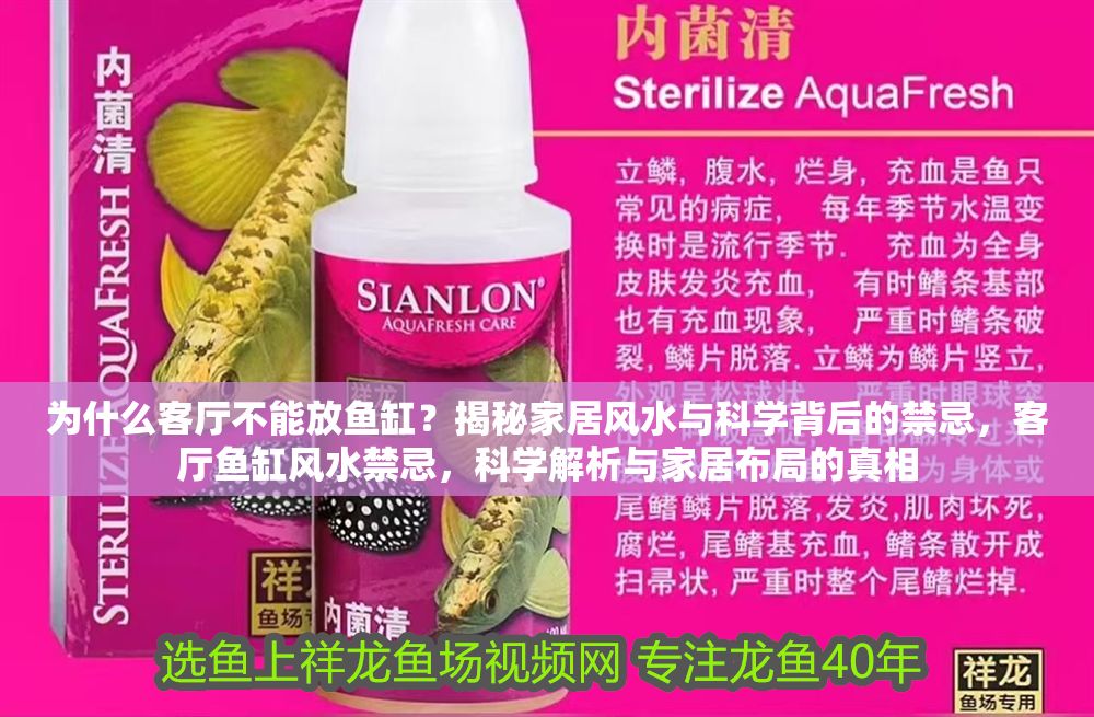 為什么客廳不能放魚缸？揭秘家居風(fēng)水與科學(xué)背后的禁忌，客廳魚缸風(fēng)水禁忌，科學(xué)解析與家居布局的真相