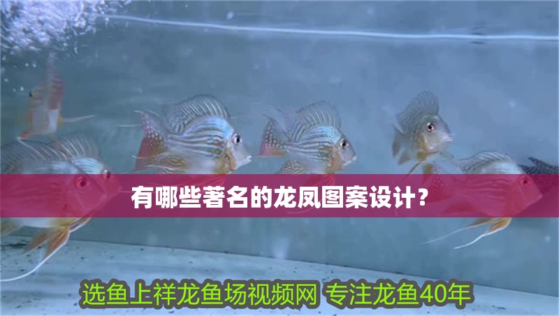 有哪些著名的龍鳳圖案設計？