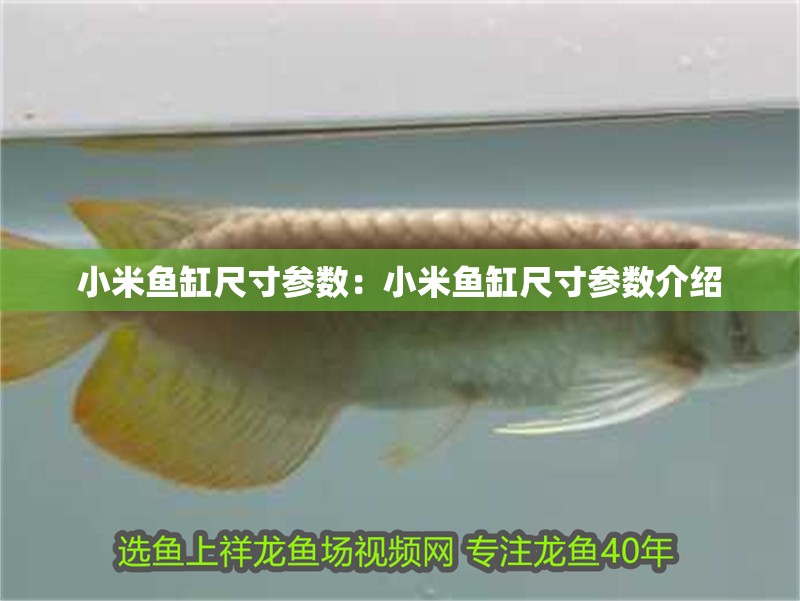 小米魚缸尺寸參數：小米魚缸尺寸參數介紹