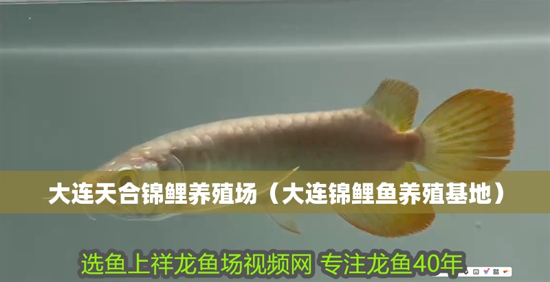 魚缸過濾器選購指南:自制魚缸過濾器魚缸上置過濾器對于養魚愛好者的必備知識 大連天合錦鯉養殖場(大連錦鯉魚養殖基地) 全國水族館企業名錄 大連天合錦鯉養殖場(大連錦鯉魚養殖基地) 大連天合錦鯉養殖場(大連錦鯉魚養殖基地) 全國水族館企業名錄