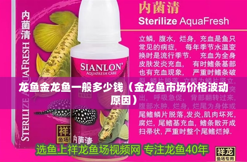 龍魚金龍魚一般多少錢（金龍魚市場價格波動原因）