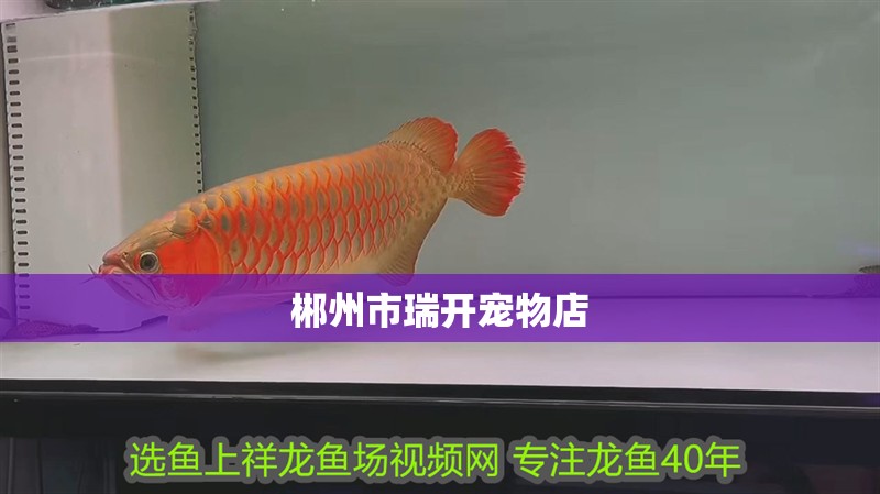 郴州市瑞開寵物店