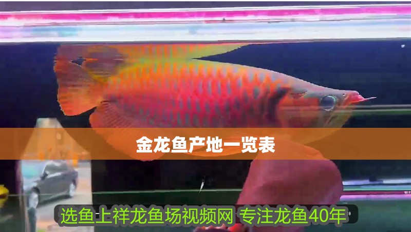 金龍魚產地一覽表