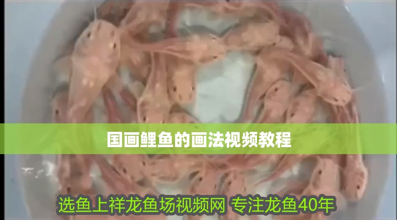 國畫鯉魚的畫法視頻教程