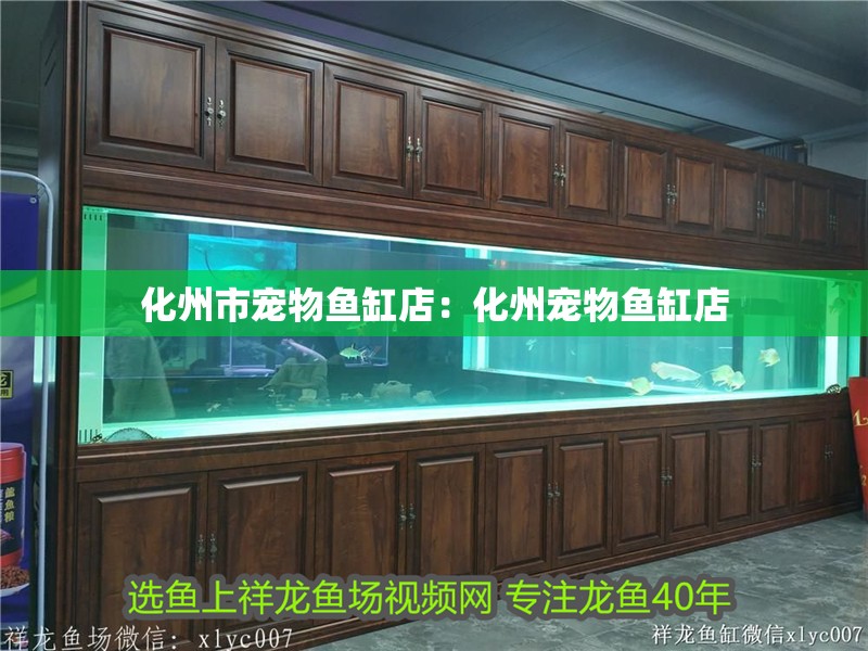 <strong><mark>化州</mark></strong>市寵物魚缸店：<strong><mark>化州</mark></strong>寵物魚缸店