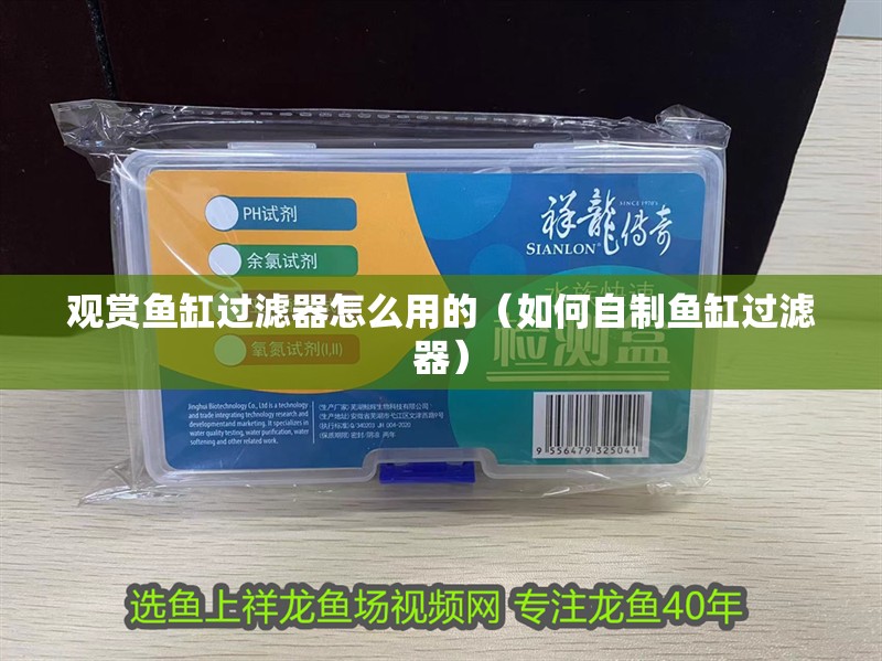 觀賞魚缸過濾器怎么用的（如何自制魚缸過濾器）