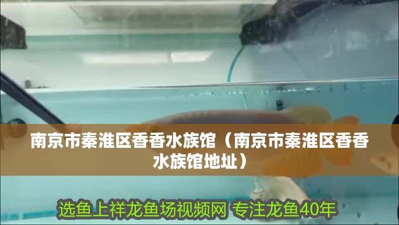 南京市秦淮區香香水族館（南京市秦淮區香香水族館地址）