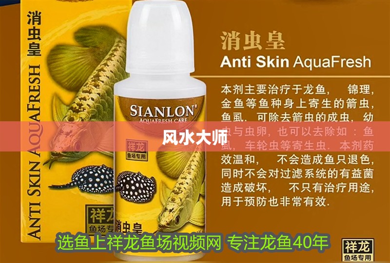 魚缸過濾器選購指南:自制魚缸過濾器魚缸上置過濾器對于養魚愛好者的必備知識 風水大師 龍魚論壇 風水大師 風水大師 龍魚論壇