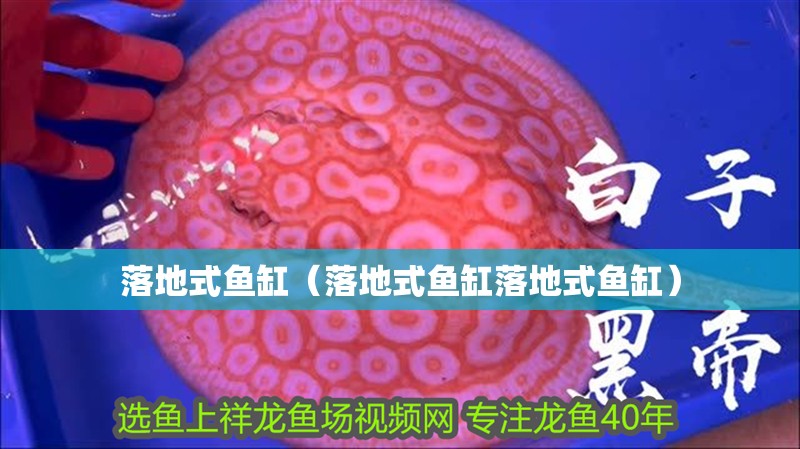 落地式魚缸（落地式魚缸落地式魚缸）