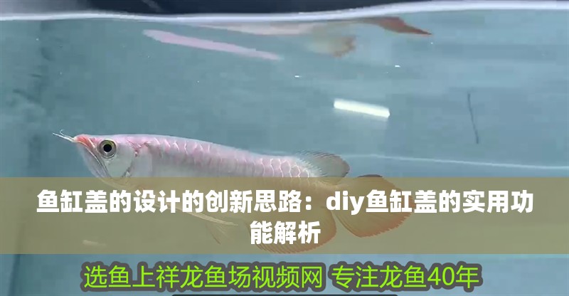 魚缸蓋的設計的創新思路：diy魚缸蓋的實用功能解析