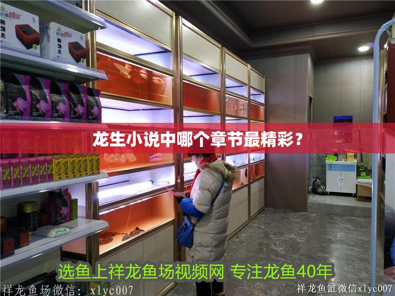 龍生小說中哪個章節最精彩？