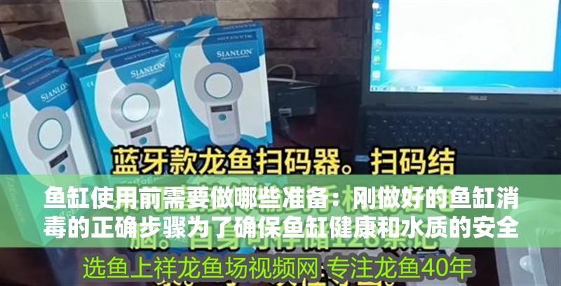 魚缸使用前需要做哪些準備：剛做好的魚缸消毒的正確步驟為了確保魚缸健康和水質的安全