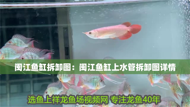 閩江魚缸拆卸圖：閩江魚缸上水管拆卸圖詳情 閩江魚缸拆卸圖：閩江魚缸上水管拆卸圖詳情 魚缸百科