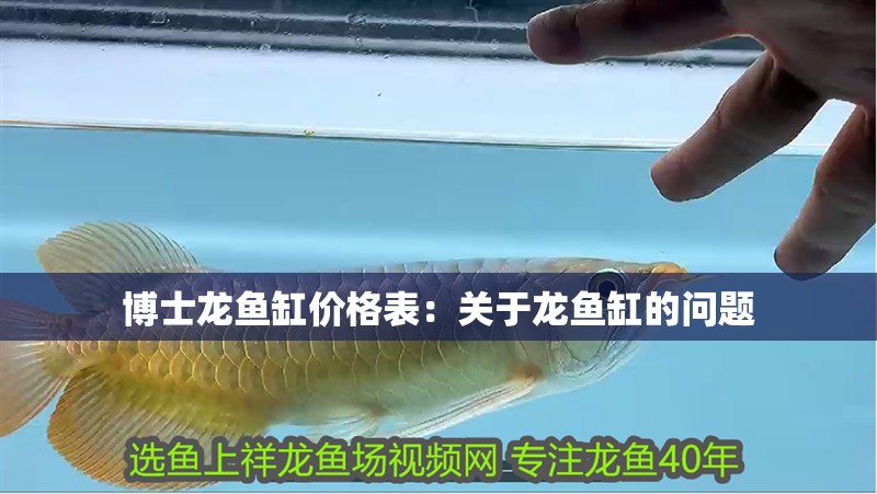 博士龍魚缸價(jià)格表：關(guān)于龍魚缸的問題