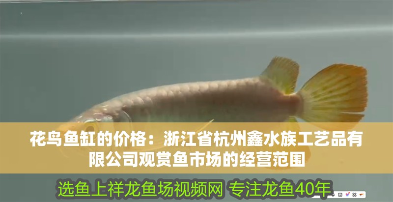 花鳥魚缸的價格：<strong><mark>浙江</mark></strong>省杭州鑫水族工藝品有限公司觀賞魚市場的經營范圍