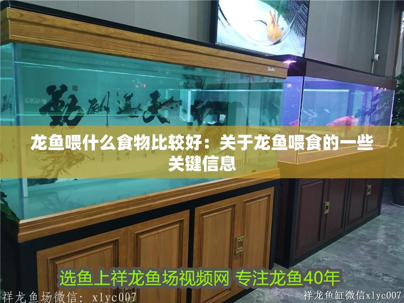 龍魚喂什么食物比較好：關于龍魚喂食的一些關鍵信息 龍魚喂什么食物比較好：關于龍魚喂食的一些關鍵信息 龍魚百科