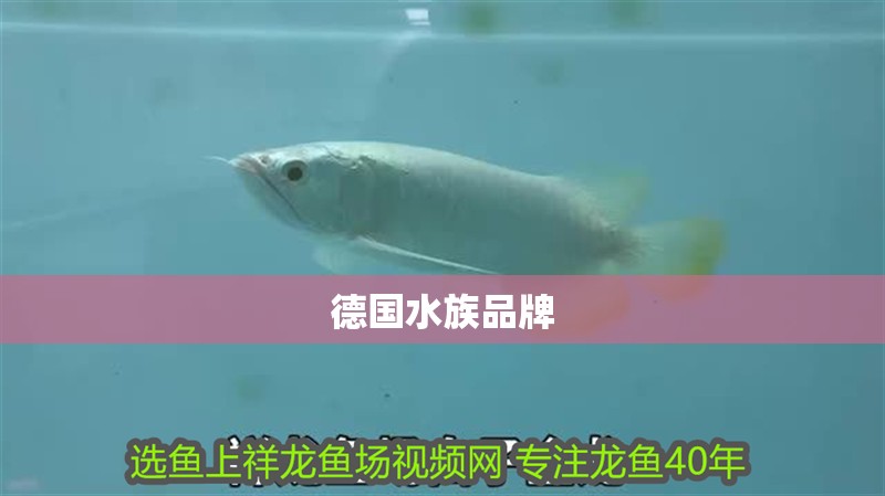 德國水族品牌
