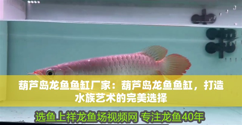 葫蘆島龍魚魚缸廠家：葫蘆島龍魚魚缸，打造水族藝術的完美選擇