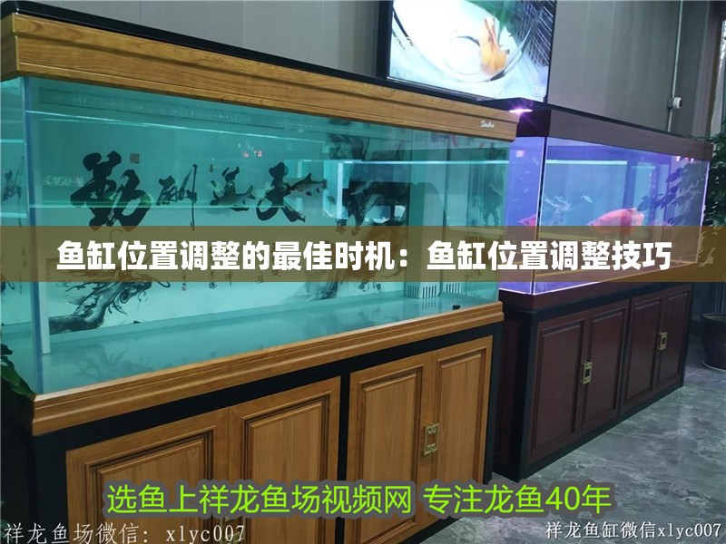 魚缸位置調整的最佳時機：魚缸位置調整技巧