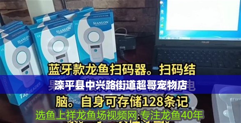 灤平縣中興路街道超哥寵物店