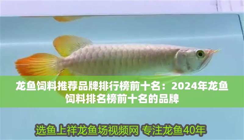 龍魚飼料推薦品牌排行榜前十名：2024年龍魚飼料排名榜前十名的品牌