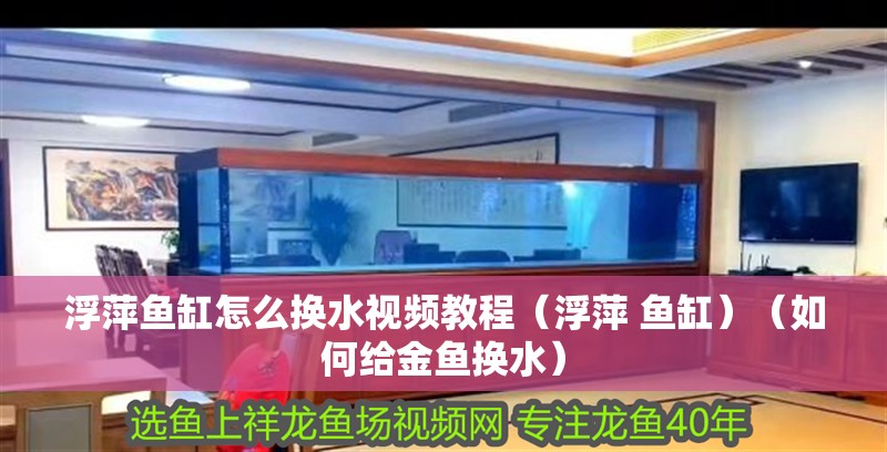 浮萍魚缸怎么換水視頻教程（浮萍 魚缸）（如何給金魚換水）