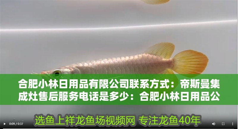 合肥小林日用品有限公司聯系方式：帝斯曼集成灶售后服務電話是多少：合肥小林日用品公司聯系方式