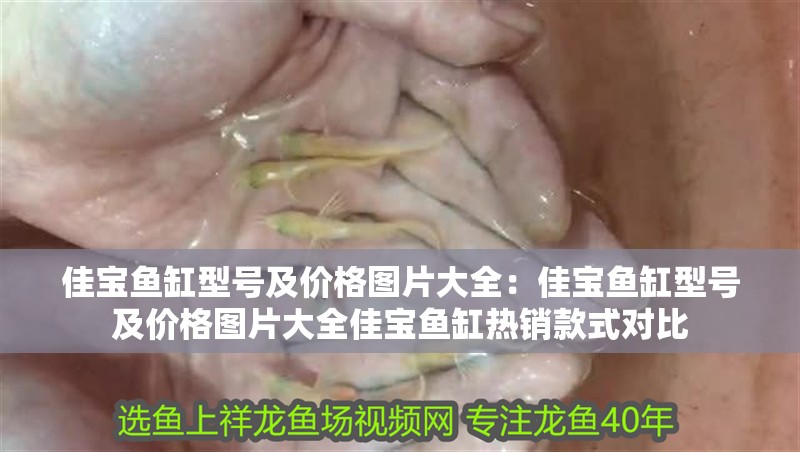 佳寶魚缸型號及價格圖片大全：佳寶魚缸型號及價格圖片大全佳寶魚缸熱銷款式對比 佳寶魚缸型號及價格圖片大全：佳寶魚缸型號及價格圖片大全佳寶魚缸熱銷款式對比 魚缸百科