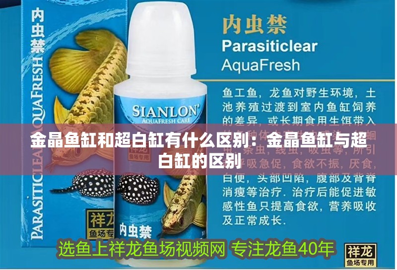 詳細(xì)閱讀:金晶魚缸和超白缸有什么區(qū)別:金晶魚缸與超白缸的區(qū)別 金晶魚缸和超白缸有什么區(qū)別:金晶魚缸與超白缸的區(qū)別