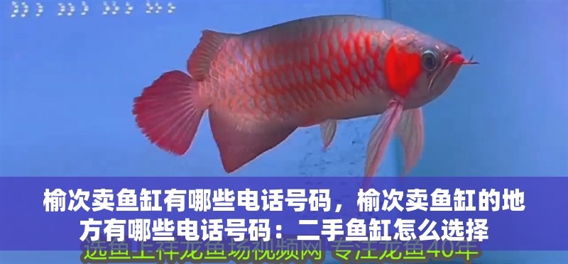 榆次賣(mài)魚(yú)缸有哪些電話號(hào)碼，榆次賣(mài)魚(yú)缸的地方有哪些電話號(hào)碼：二手魚(yú)缸怎么選擇