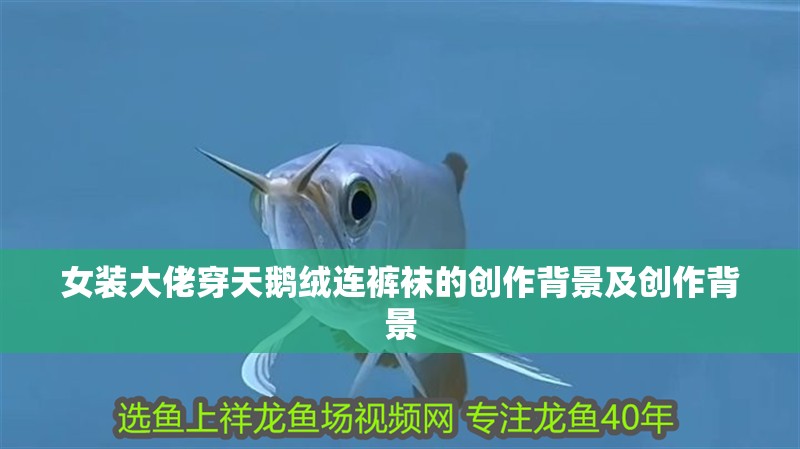 女裝大佬穿天鵝絨連褲襪的創(chuàng)作背景及創(chuàng)作背景