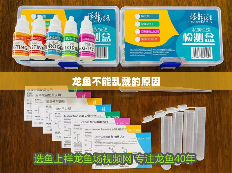 龍魚不能亂戴的原因 龍魚不能亂戴的原因 龍魚論壇