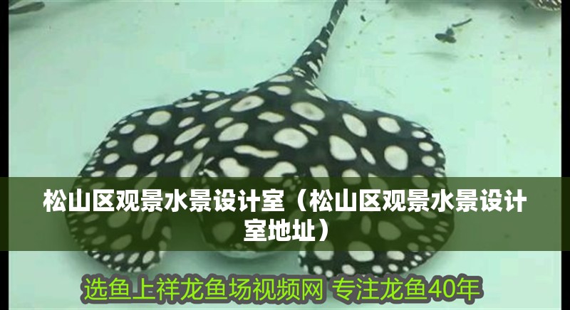 松山區觀景水景設計室（松山區觀景水景設計室地址）