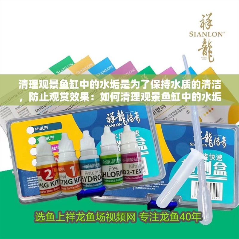 清理觀景魚缸中的水垢是為了保持水質的清潔，防止觀賞效果：如何清理觀景魚缸中的水垢