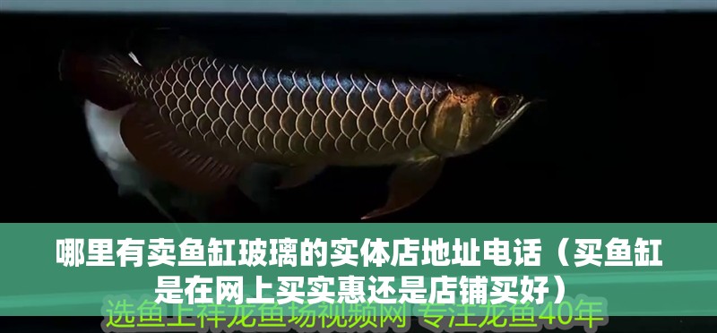 哪里有賣魚缸玻璃的實體店地址電話（買魚缸是在網上買實惠還是店鋪買好）