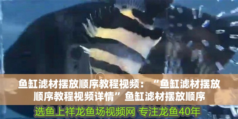 魚缸濾材擺放順序教程視頻：“魚缸濾材擺放順序教程視頻詳情”魚缸濾材擺放順序