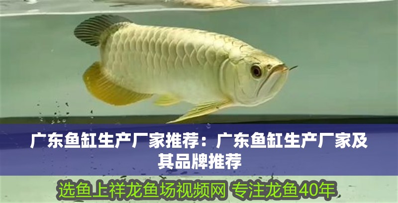 廣東魚缸生產廠家推薦：廣東魚缸生產廠家及其品牌推薦