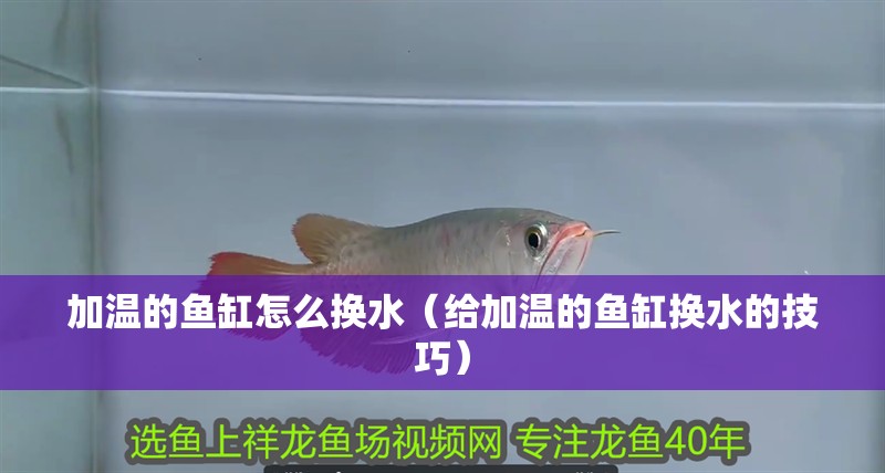 加溫的魚缸怎么換水（給加溫的魚缸換水的技巧）