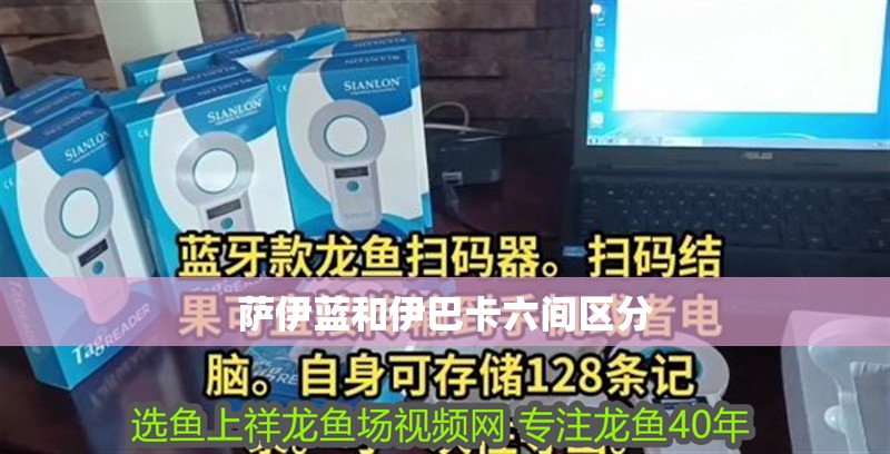 龍魚怕什么 薩伊藍和伊巴卡六間區分 龍魚論壇 薩伊藍和伊巴卡六間區分 薩伊藍和伊巴卡六間區分 龍魚論壇