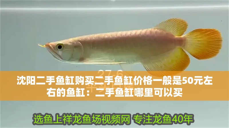 沈陽二手魚缸購買二手魚缸價格一般是50元左右的魚缸：二手魚缸哪里可以買