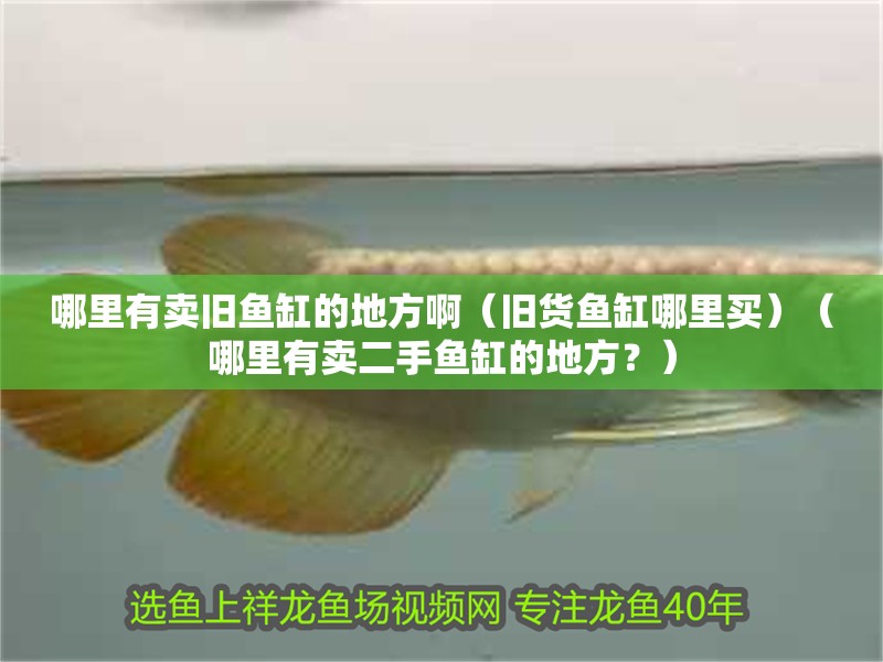 哪里有賣舊魚缸的地方啊（舊貨魚缸哪里買）（哪里有賣二手魚缸的地方？）
