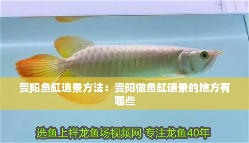 貴陽(yáng)魚(yú)缸造景方法：貴陽(yáng)做魚(yú)缸造景的地方有哪些