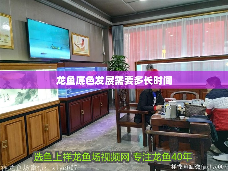 龍魚底色發(fā)展需要多長(zhǎng)時(shí)間
