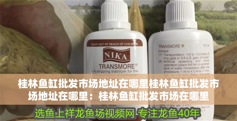 桂林魚缸批發(fā)市場地址在哪里桂林魚缸批發(fā)市場地址在哪里：桂林魚缸批發(fā)市場在哪里