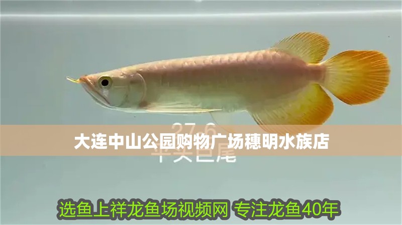 大連中山公園購(gòu)物廣場(chǎng)穗明水族店